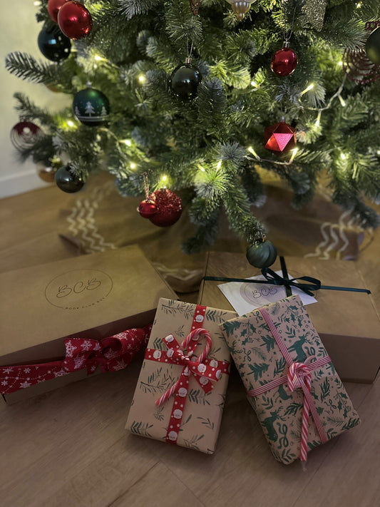 Christmas Blind Date with a Book